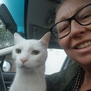 Meet your Posher, Kat